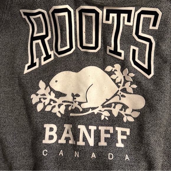Roots Banff Organic Original Kanga Hoodie - Picture 6 of 13